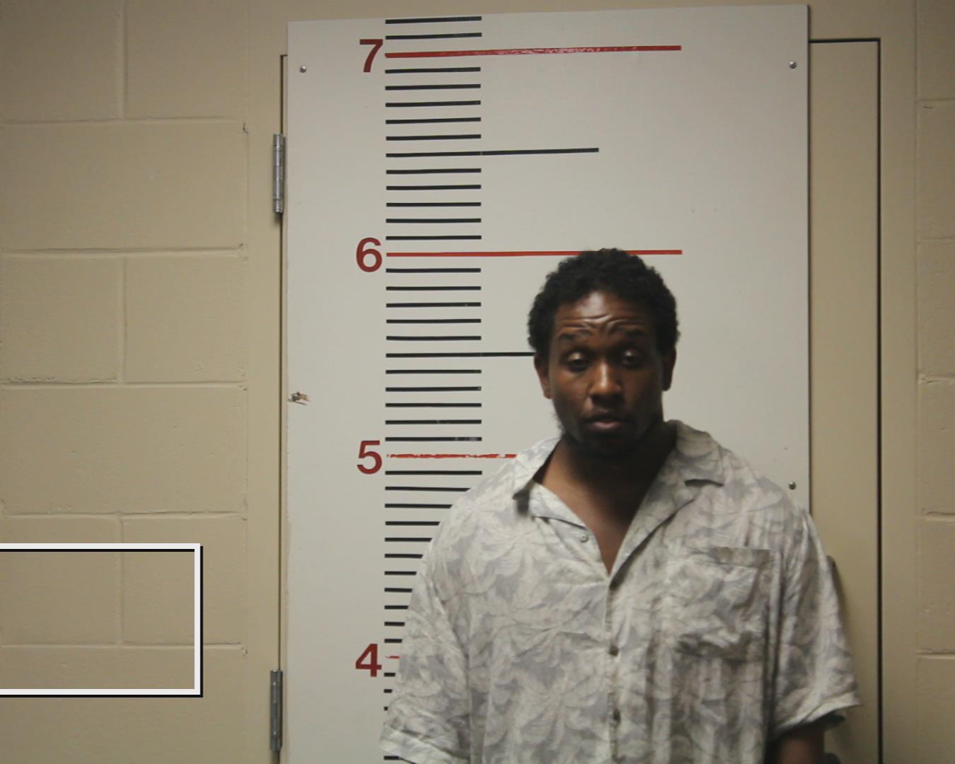 HOLOMAN, DARREN DONNELL booking photo