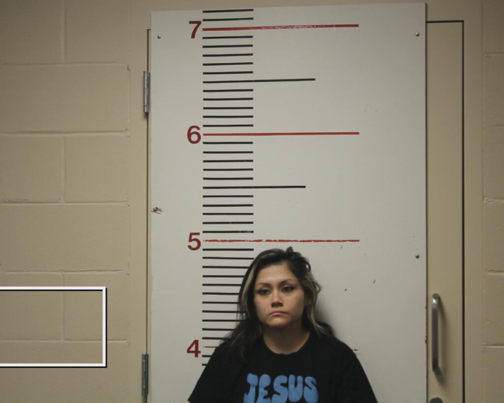CHAVEZ, YESENIA MESHEL booking photo