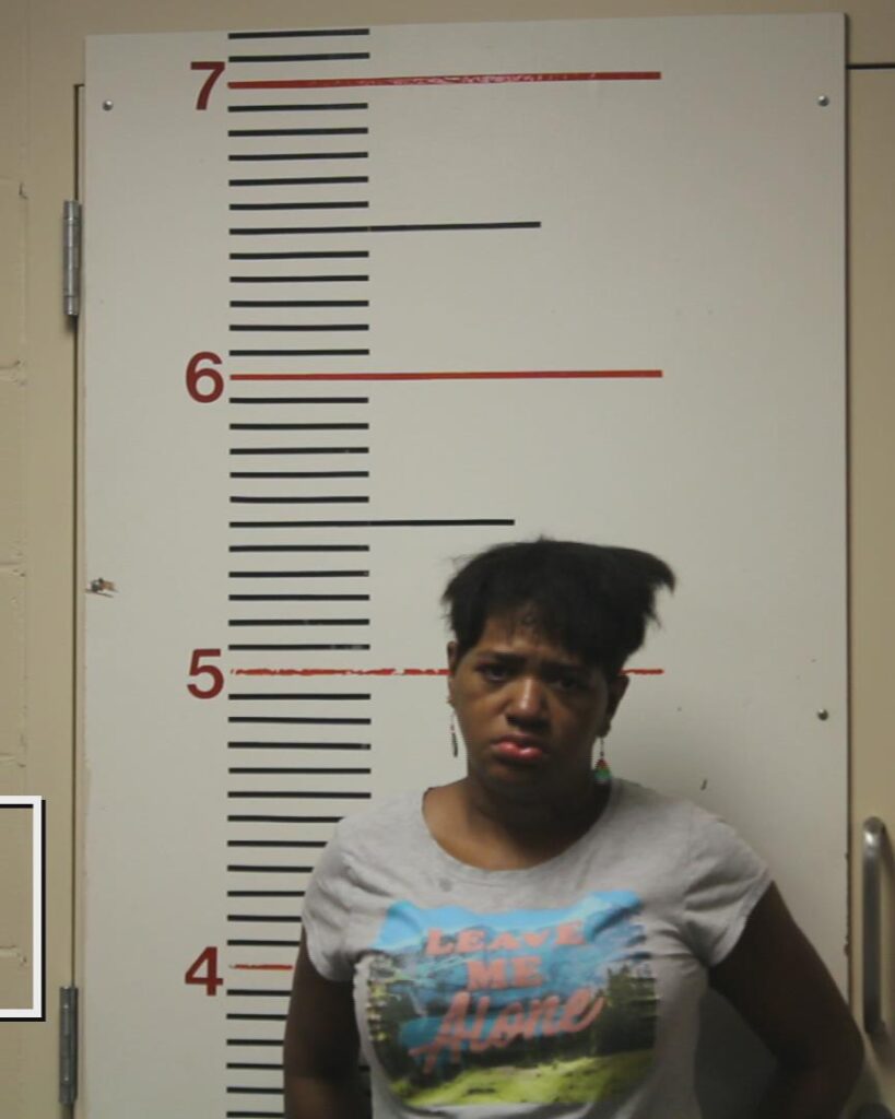 PIPKIN, NATALIE NICOLE booking photo