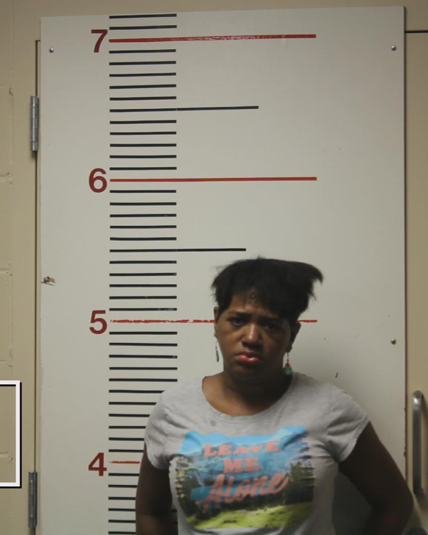 PIPKIN, NATALIE NICOLE booking photo
