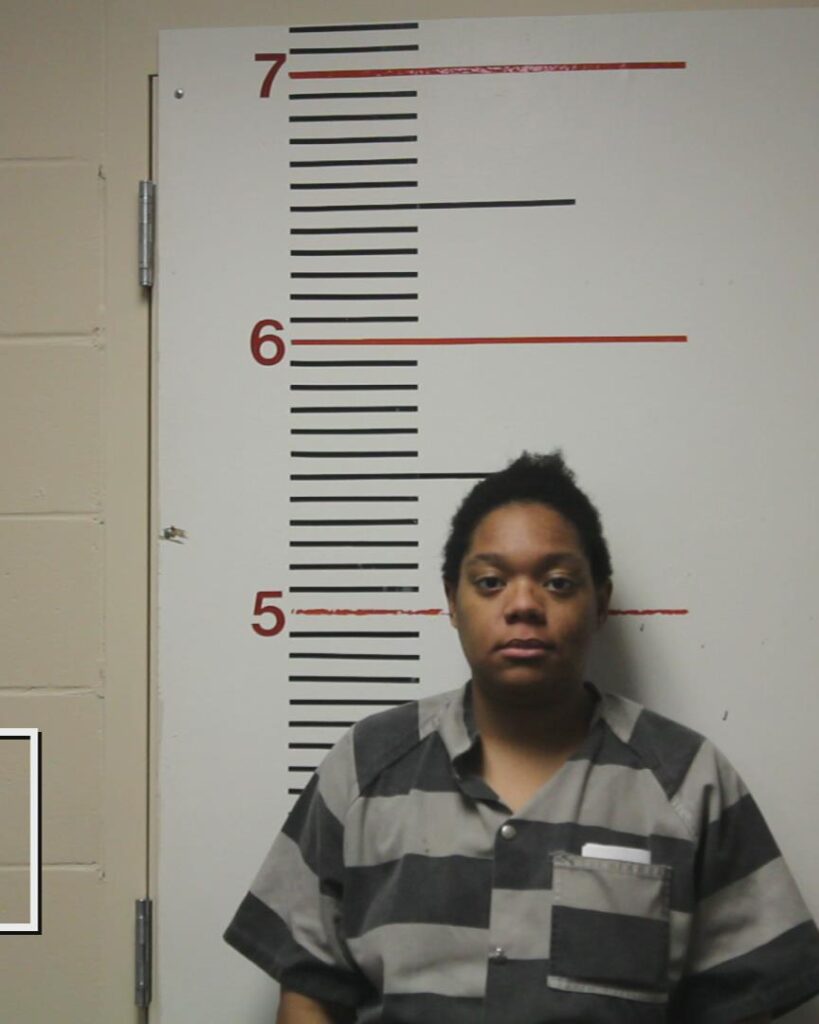 Tyler, Toni Renae booking photo