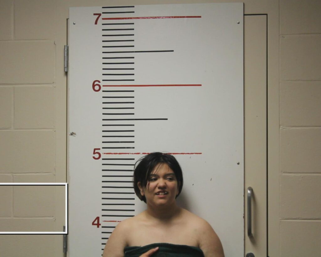 HERNANDEZ, REBECCA SHEYENNE booking photo