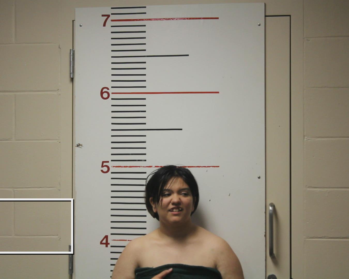 HERNANDEZ, REBECCA SHEYENNE booking photo