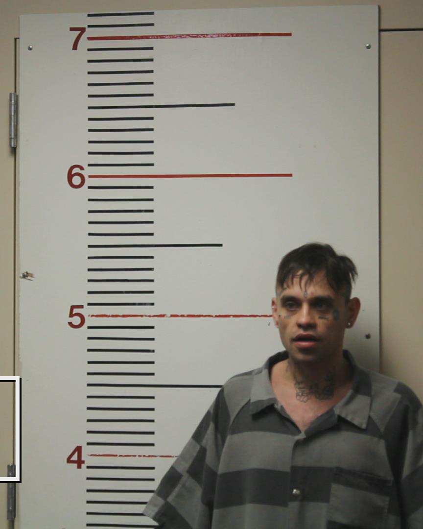 TENNEY, GAVIN JAY booking photo