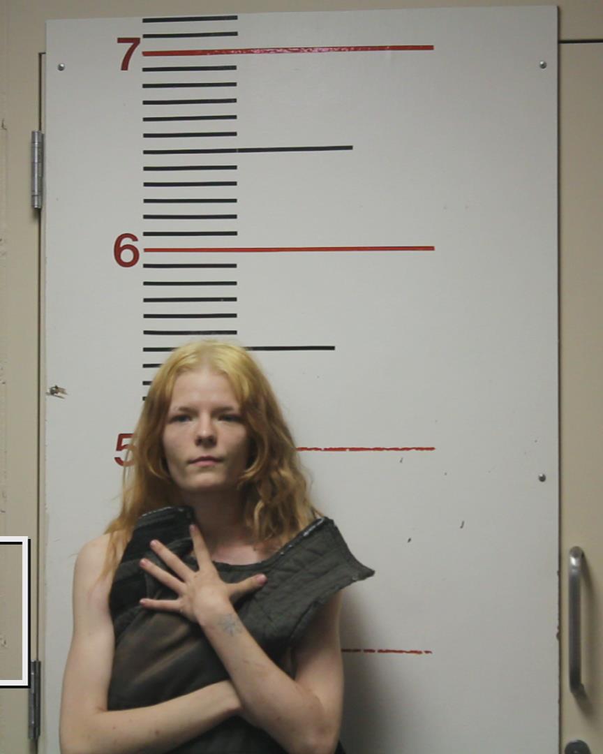 JONES, KIRSTEN AARON booking photo
