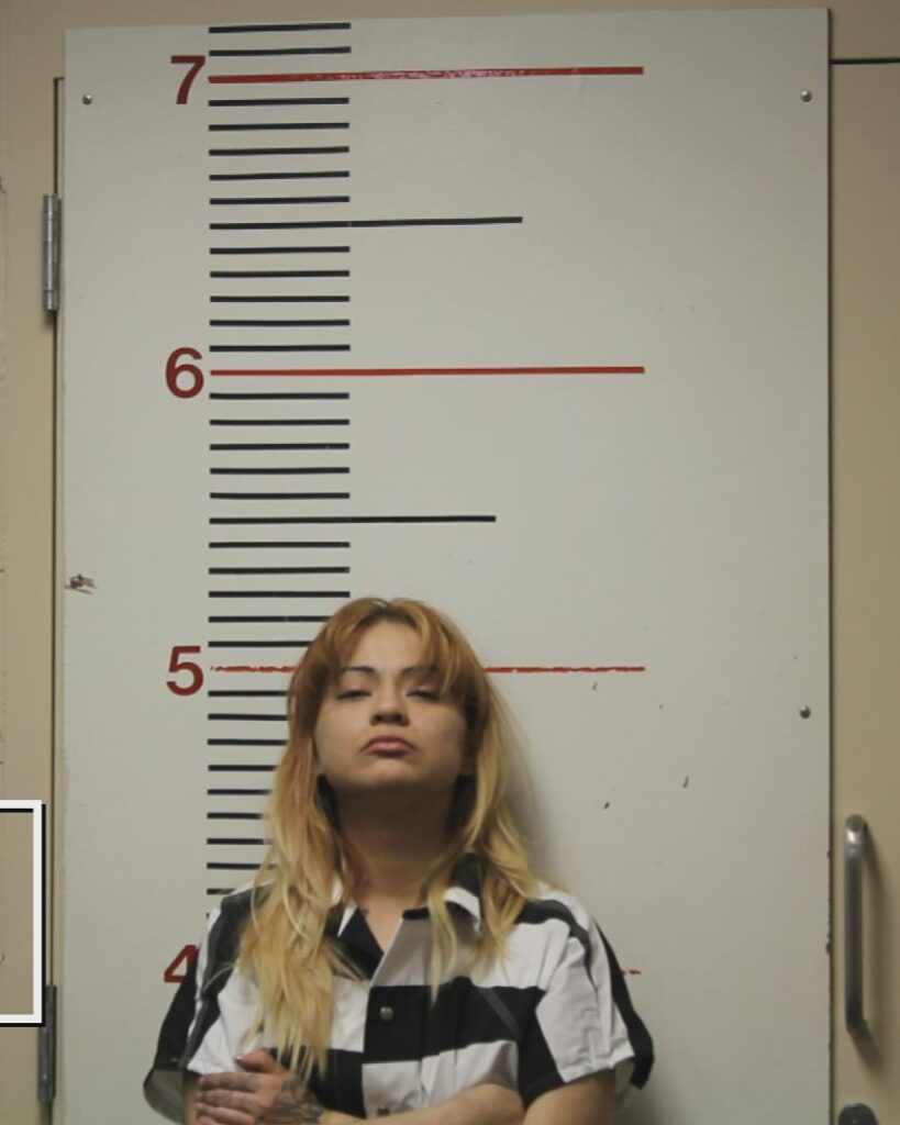 SALINAS, CESILIA booking photo