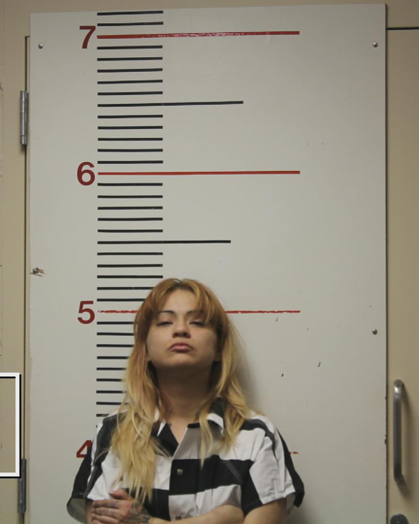 SALINAS, CESILIA booking photo
