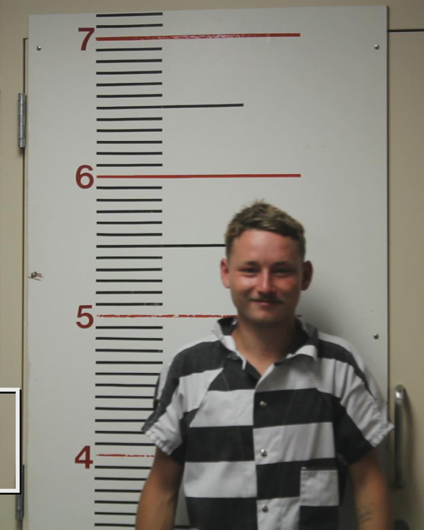 FIELDS, ROBERT REECE booking photo