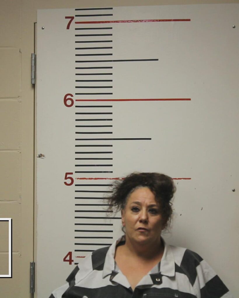 HAYS, GAYLE LYNN booking photo