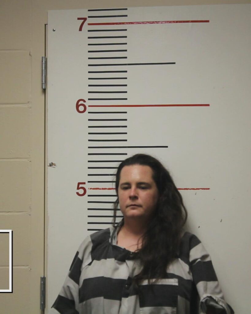 COURT, ASHLEN NICOLE booking photo