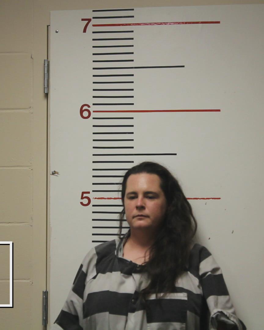 COURT, ASHLEN NICOLE booking photo