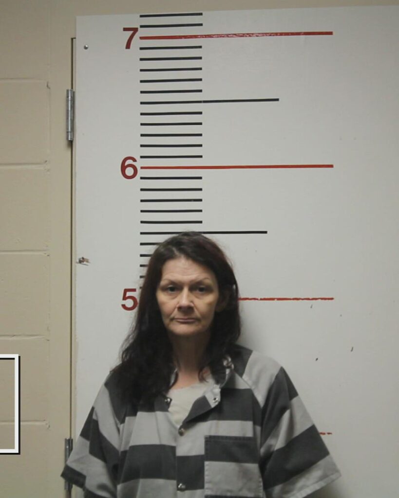 WILLIAMS, LADONNA LYNN booking photo