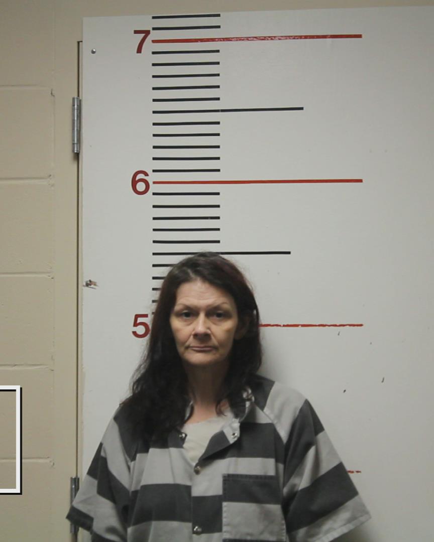 WILLIAMS, LADONNA LYNN booking photo