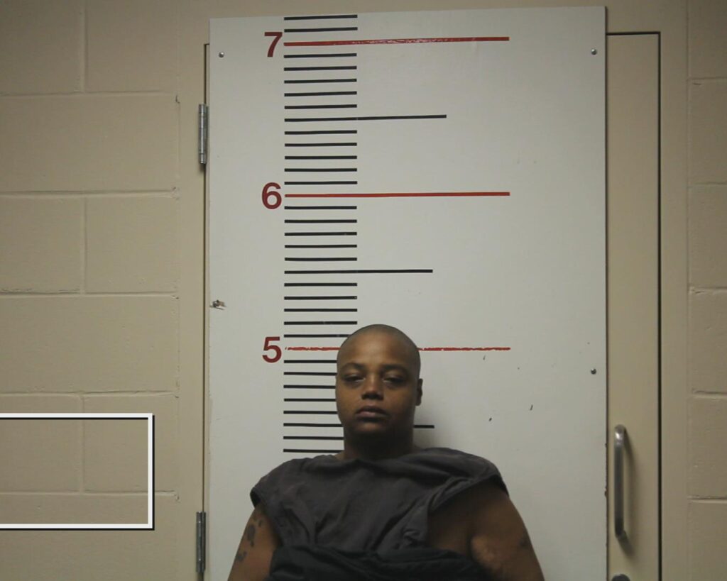 SMITH, CINAMON ALEXANDRA booking photo