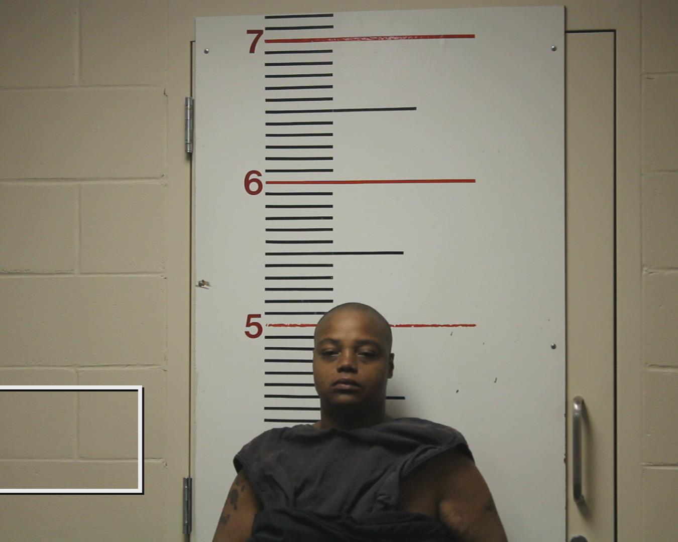 SMITH, CINAMON ALEXANDRA booking photo