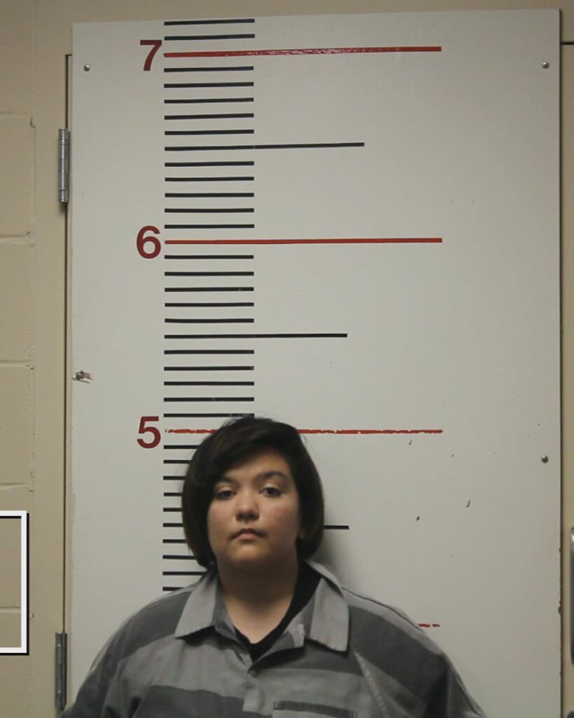 HERNANDEZ, REBECCA SHEYENNE booking photo