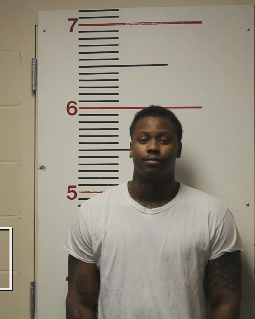 WILSON, CEDRIC LOWON, Jr. arrested in Anderson County, Texas mugshot