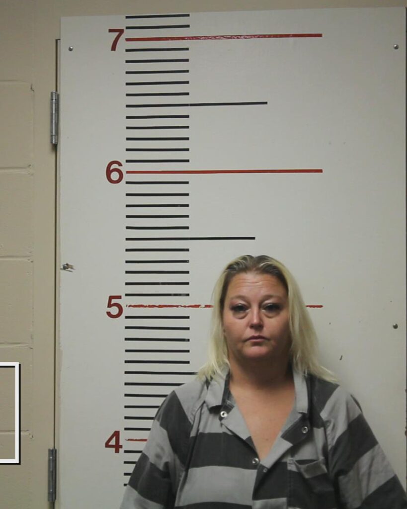 NEWSOME, STEPHANIE ANN arrested in Anderson County, Texas mugshot