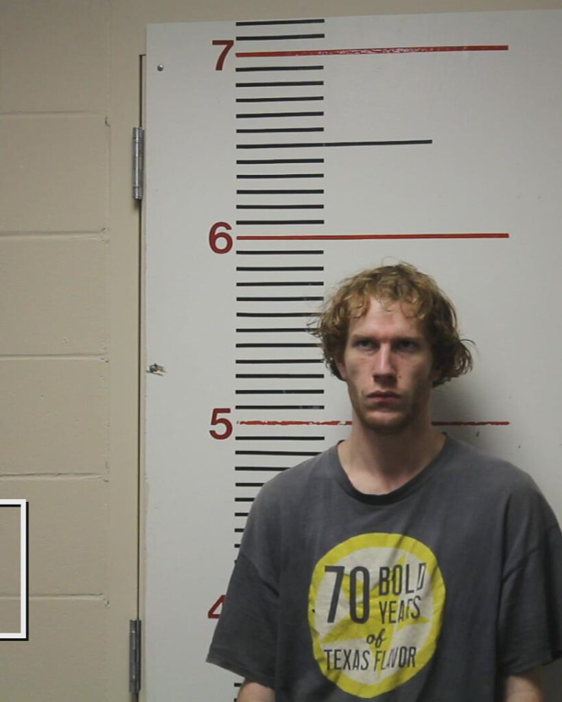 PEELER, WILLIAM SUNBLOM arrested in Anderson County, Texas mugshot