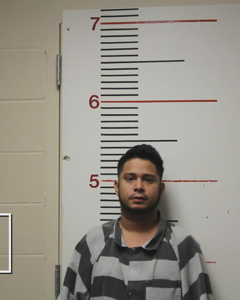 ALVARADO-MARTINEZ, JUNIORS ALEXIS arrested in Anderson County, Texas mugshot