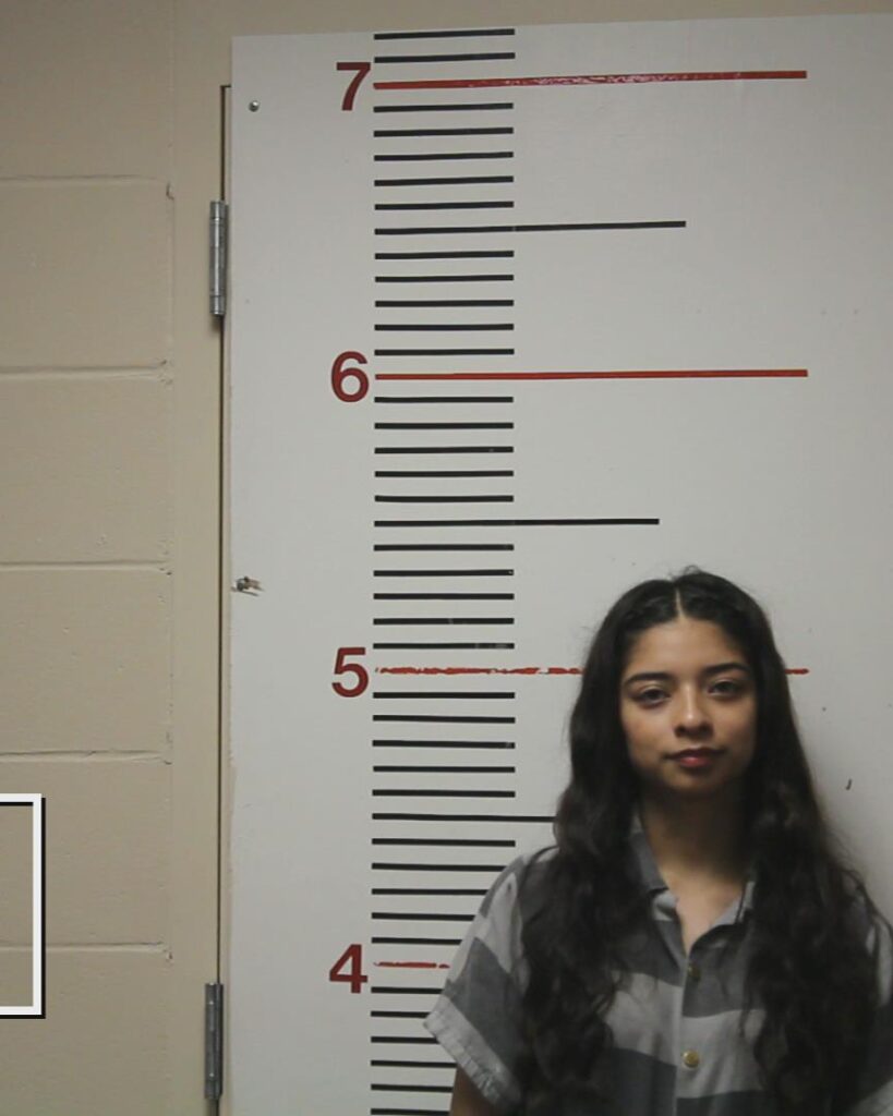 BANUELOS, LESLIE RAMOS arrested in Anderson County, Texas mugshot