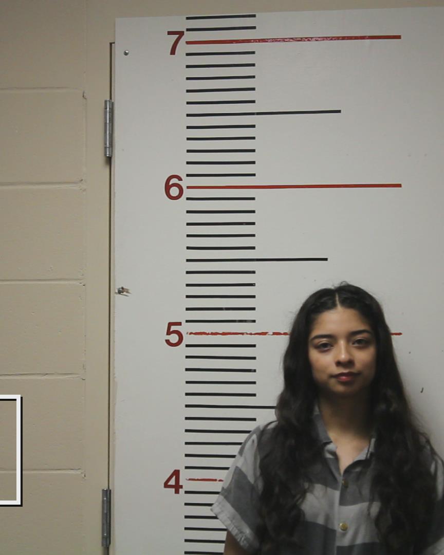BANUELOS, LESLIE RAMOS booking photo