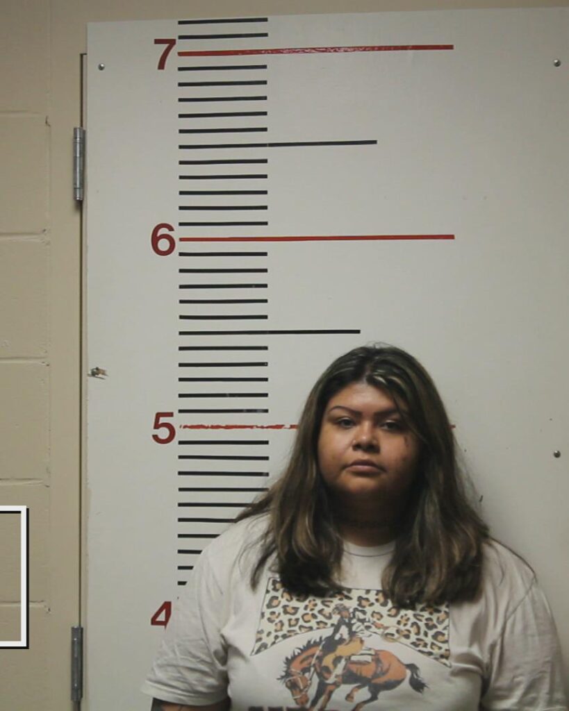 RUIZ, MARYBEL ALBARRAN arrested in Anderson County, Texas mugshot