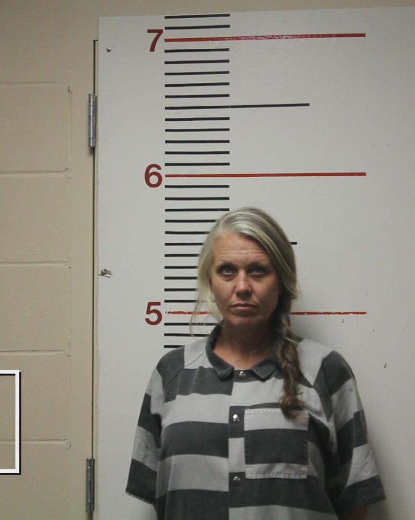 PERRY, AMANDA arrested in Anderson County, Texas mugshot