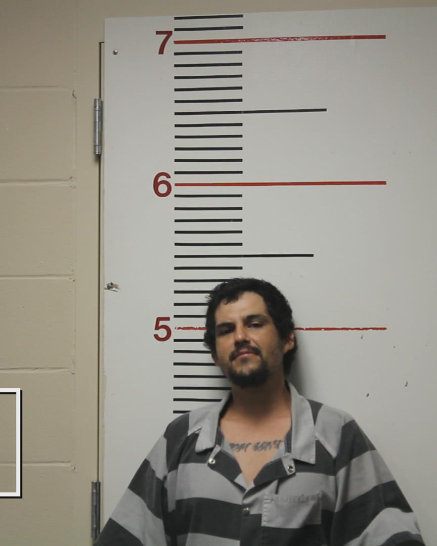 NYE, MICHAEL booking photo