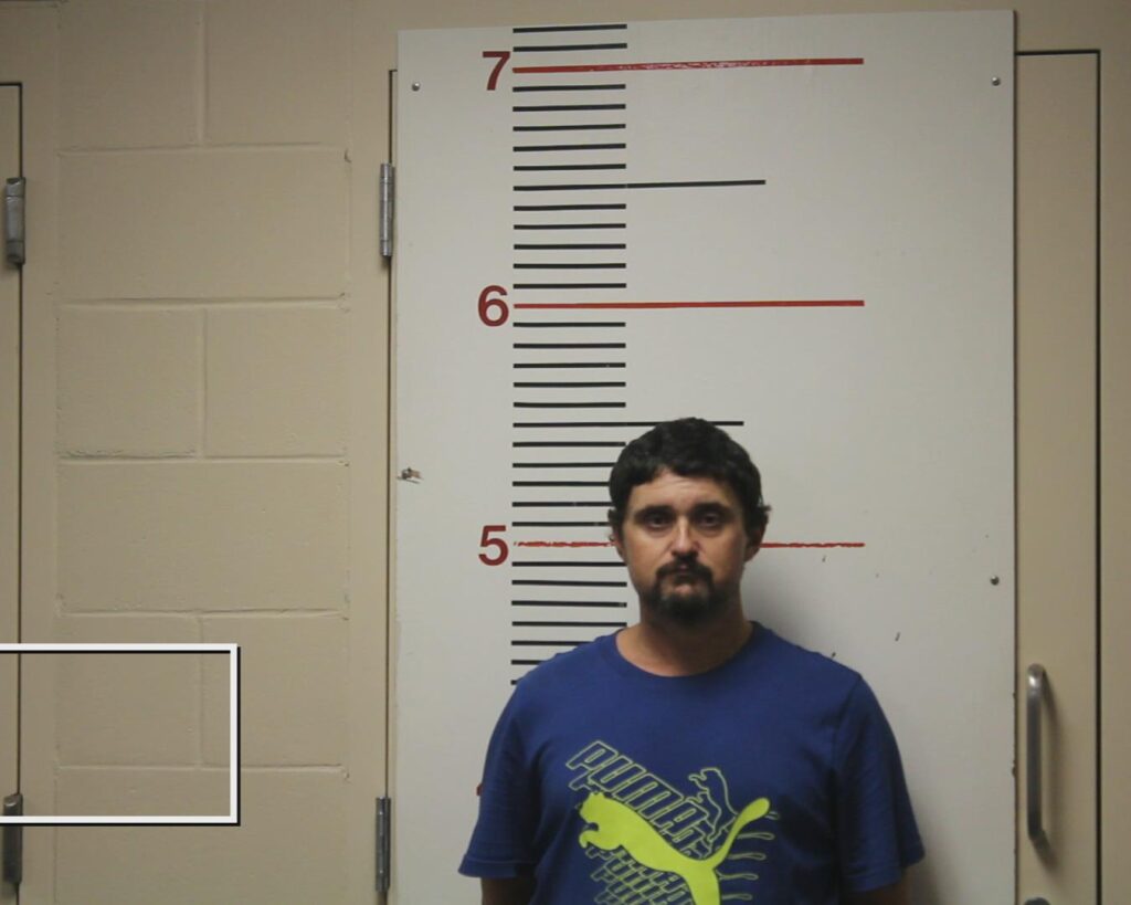 NELSON, DALLAS WILLIAM arrested in Anderson County, Texas mugshot