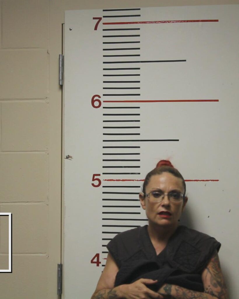 CARRINGTON, AMY DENISE arrested in Anderson County, Texas mugshot