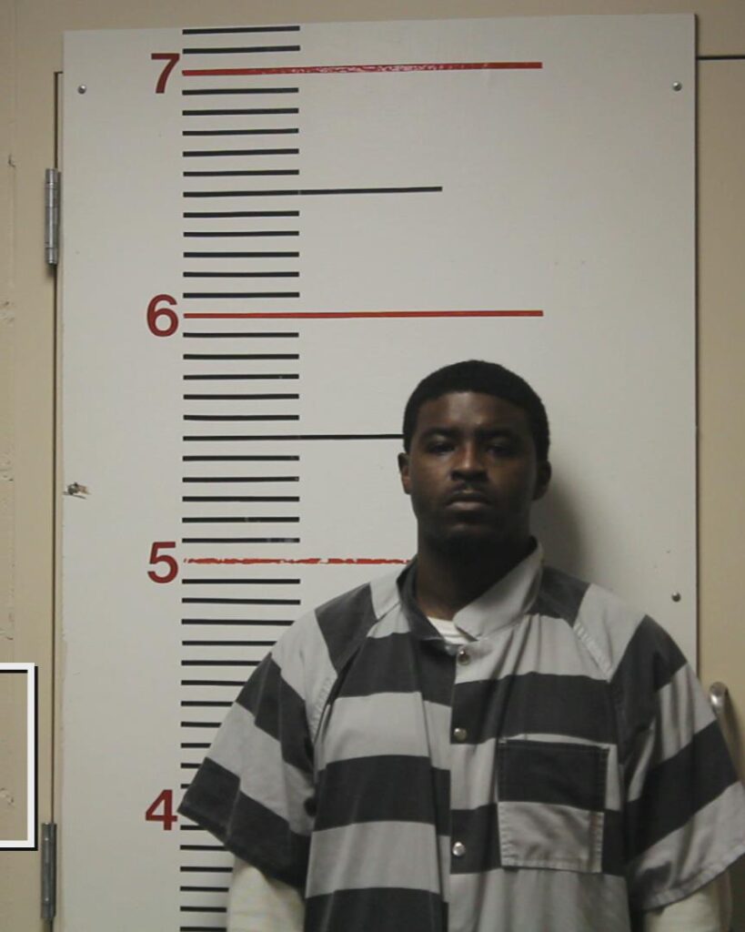 DELANE, YLANZ DEMARCUS arrested in Anderson County, Texas mugshot