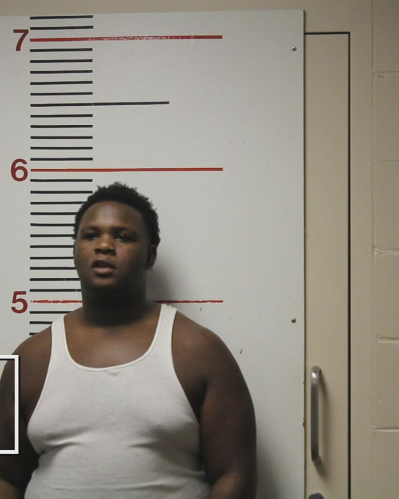 DELANE, SEMAJE arrested in Anderson County, Texas mugshot