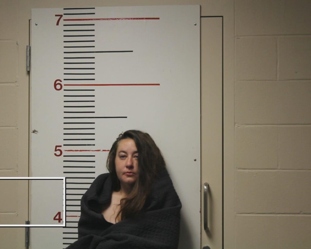 SOAPE, TANYA CHHEYENNE arrested in Anderson County, Texas mugshot