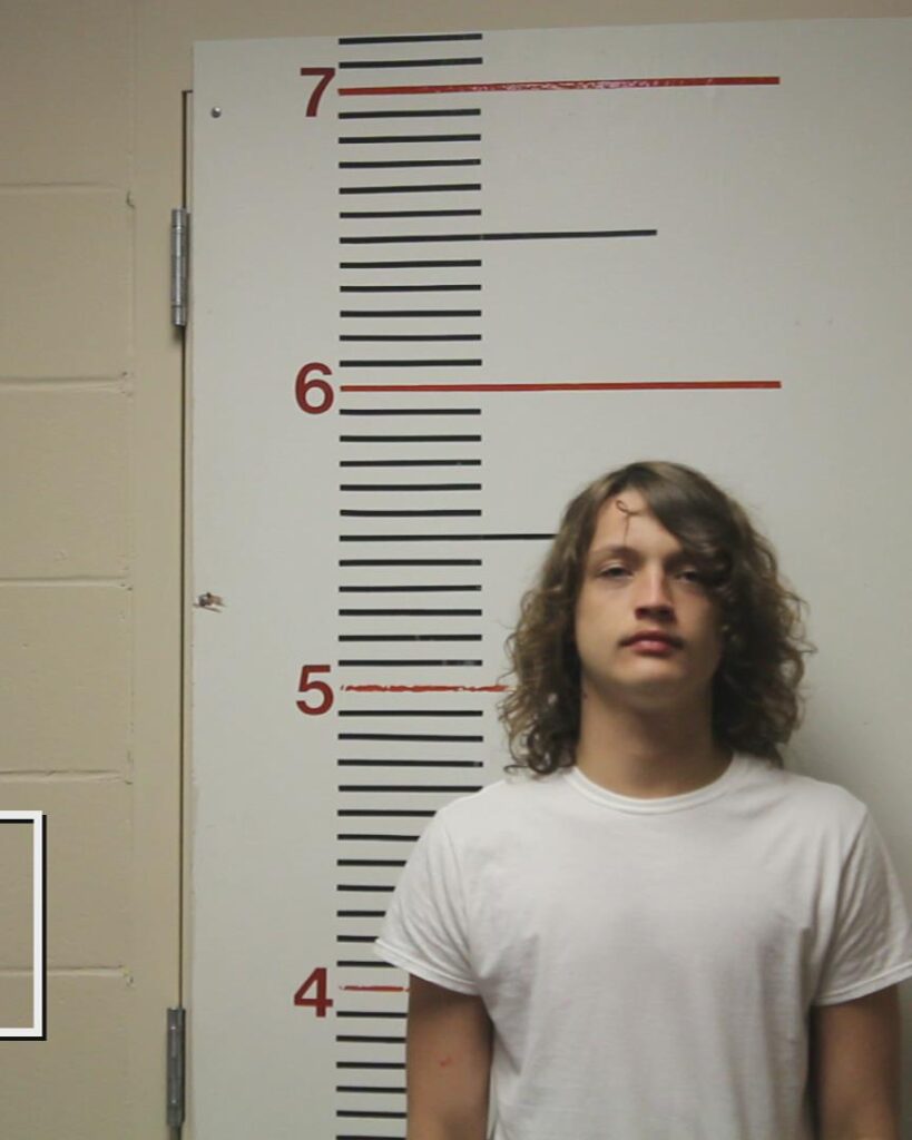 MELSON, KEITHAN ALAN arrested in Anderson County, Texas mugshot