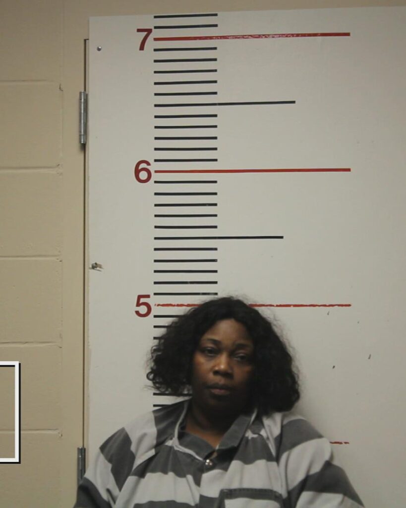 BOWIE, LEKENDRA LANA arrested in Anderson County, Texas mugshot