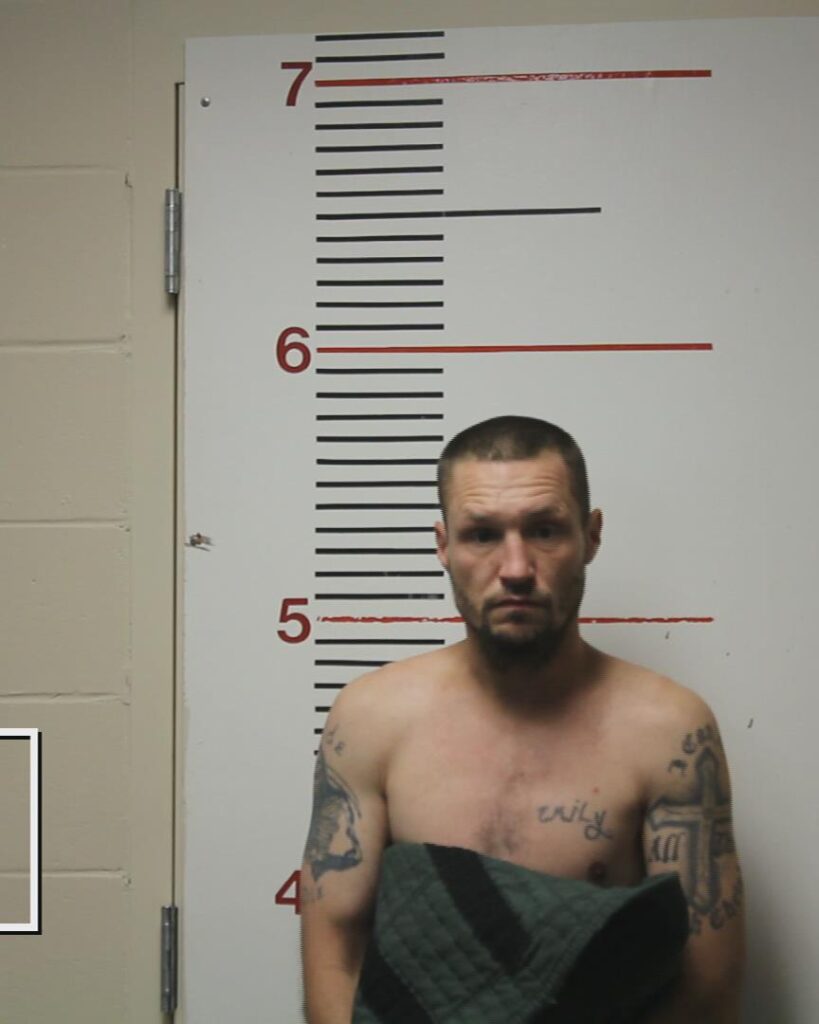 MCADAMS, JOSHUA DAVID arrested in Anderson County, Texas mugshot