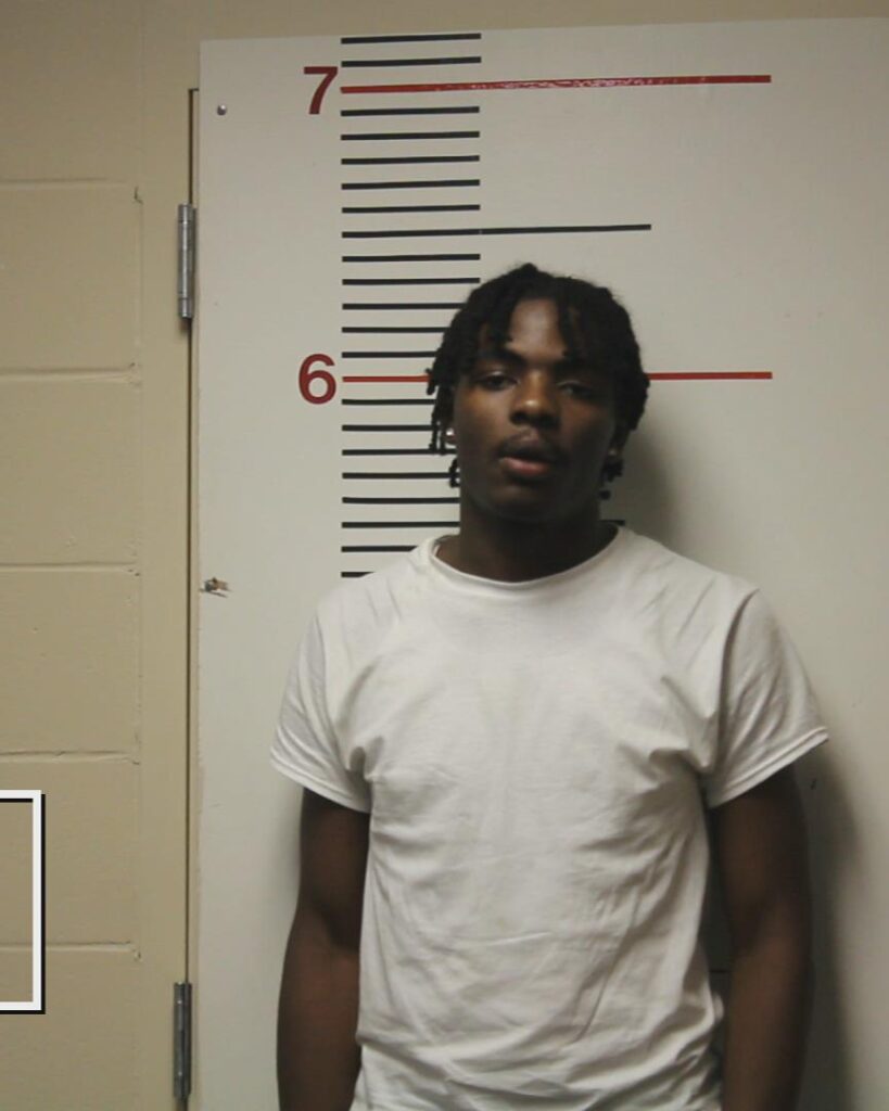 COOK, ELIJIAIH JKWON arrested in Anderson County, Texas mugshot