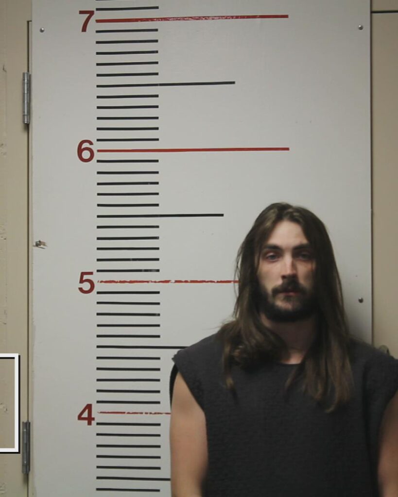 SHAVER, DILLION SCOTT arrested in Anderson County, Texas mugshot
