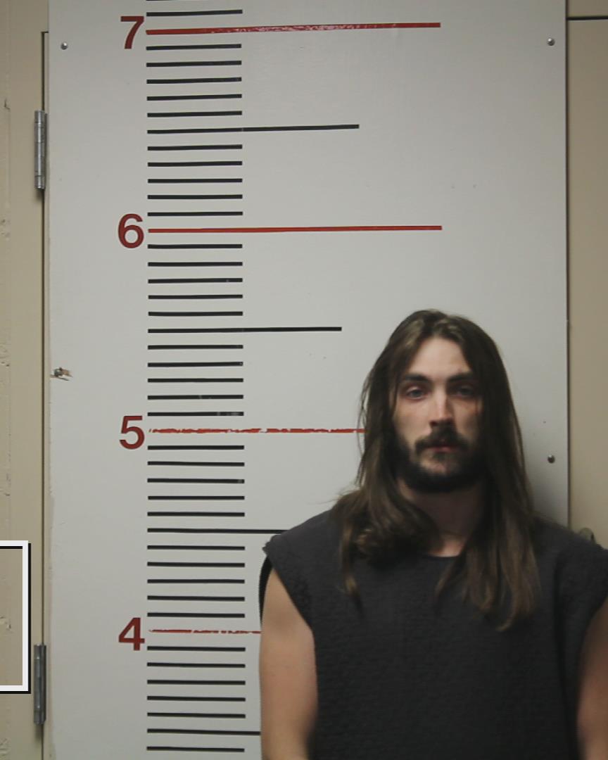 SHAVER, DILLION SCOTT booking photo