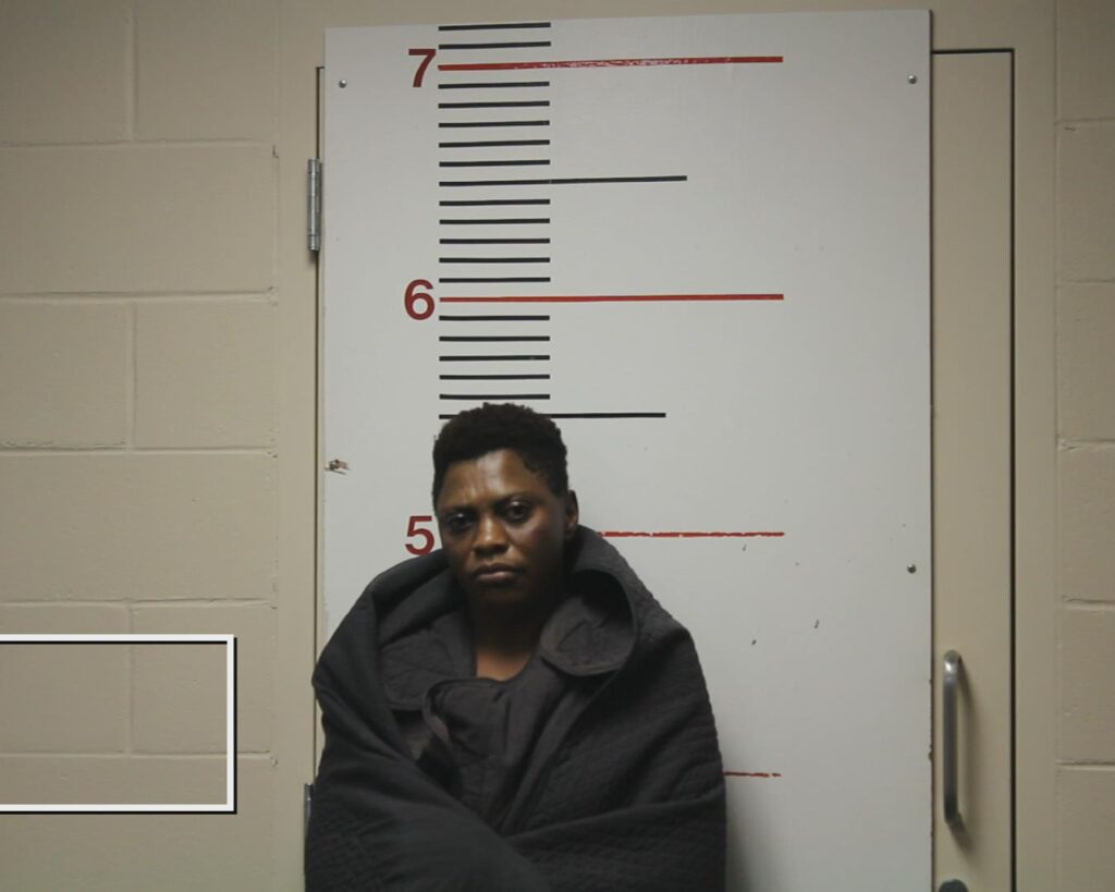 TCHOUGANG, PATIENCE NJUE arrested in Anderson County, Texas mugshot
