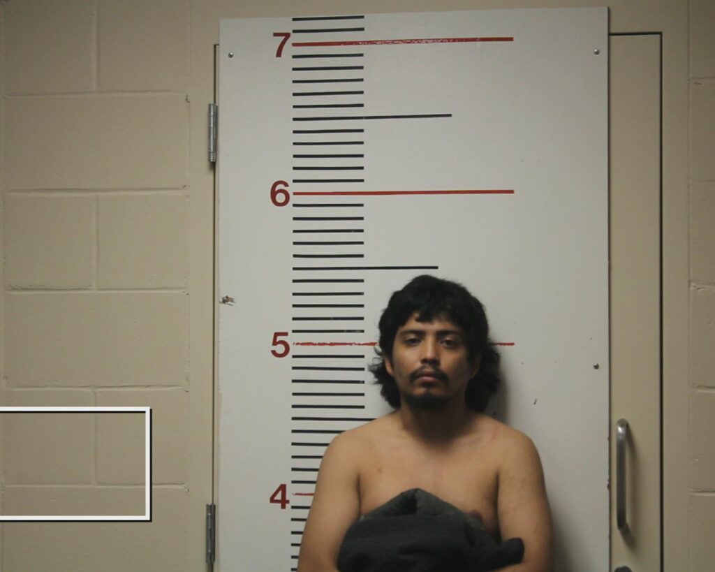 ALVAREZ, CESAR, Jr. arrested in Anderson County, Texas mugshot