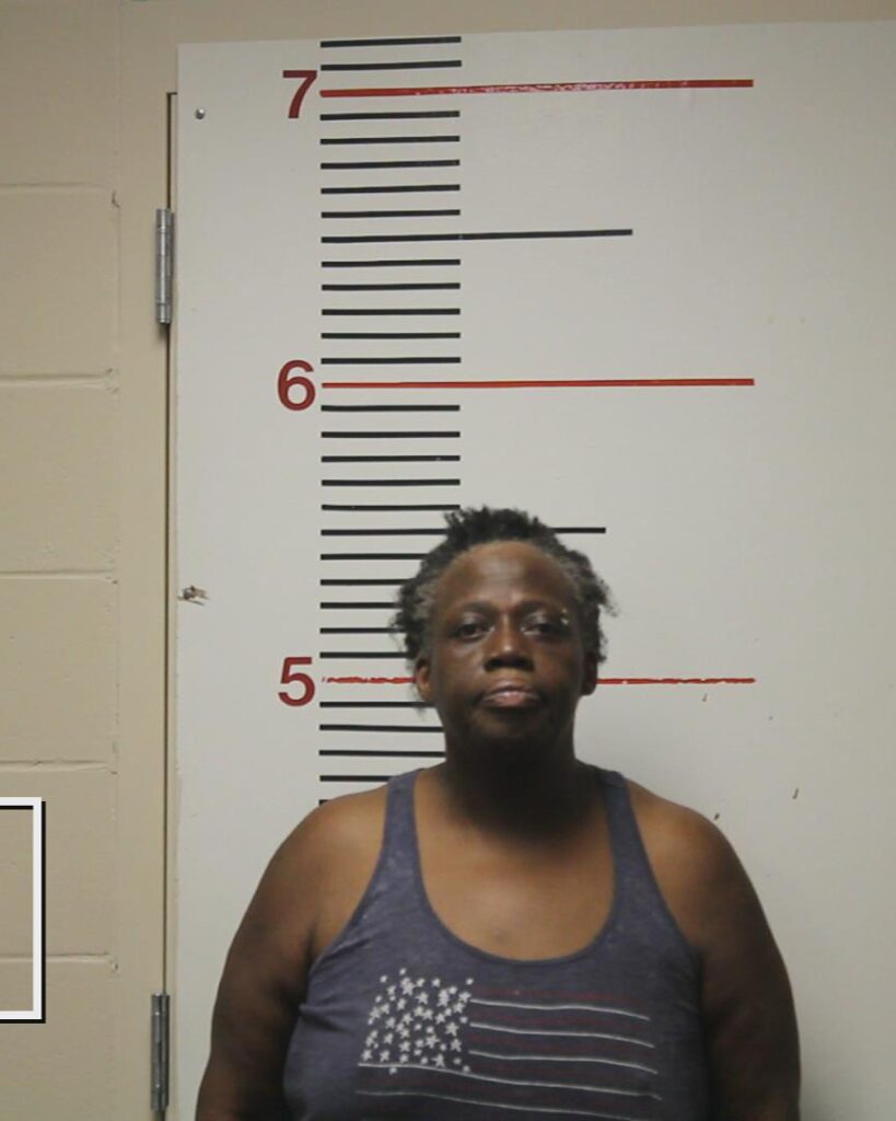 MCDONALD, MATTIE DELORIS arrested in Anderson County, Texas mugshot