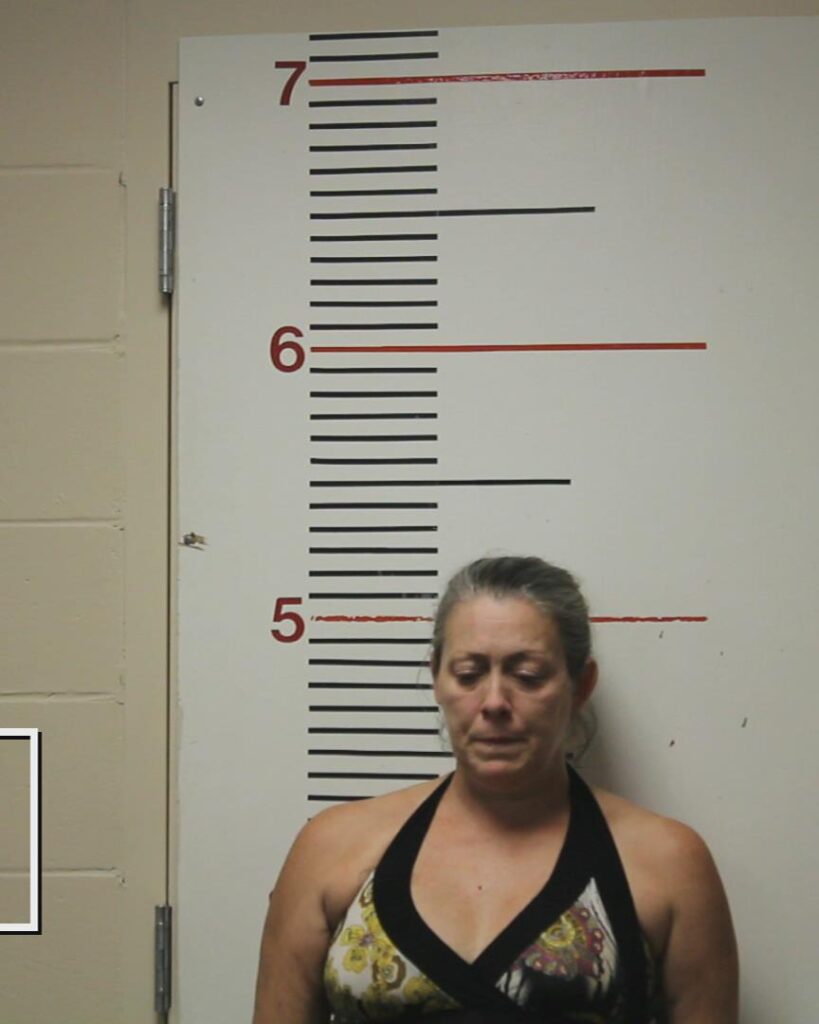 EDMUNDSON, JAIME M arrested in Anderson County, Texas mugshot