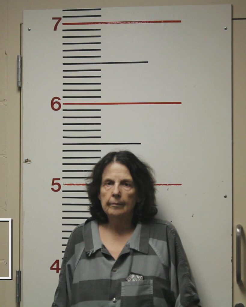 SIMS, JAYNE RUELENE arrested in Anderson County, Texas mugshot