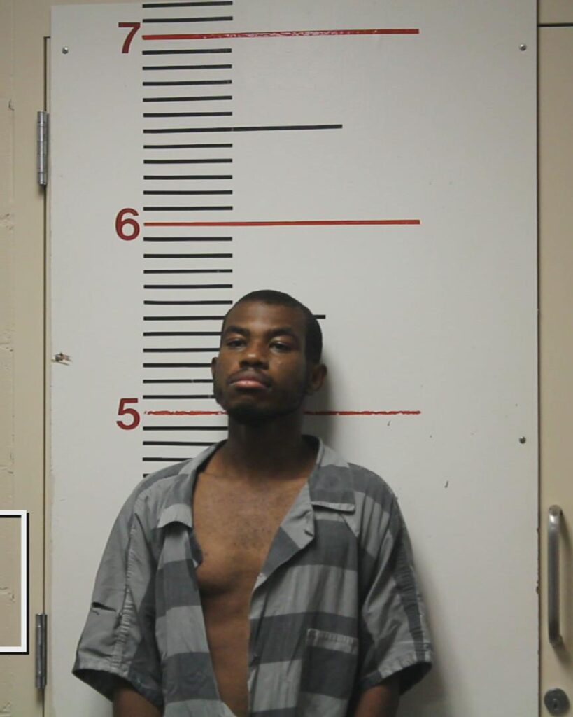 WHITE, JOSEPH arrested in Anderson County, Texas mugshot