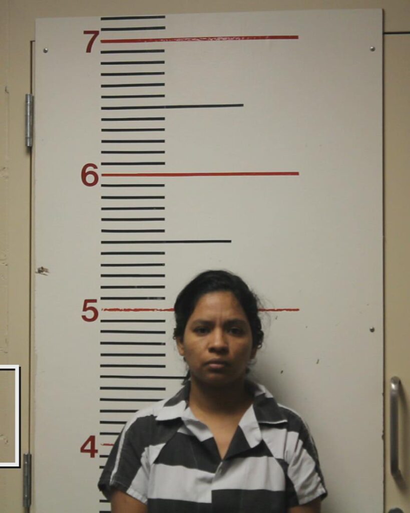 GOMEZ-MORILLO, WINDY CAROLINA arrested in Anderson County, Texas mugshot