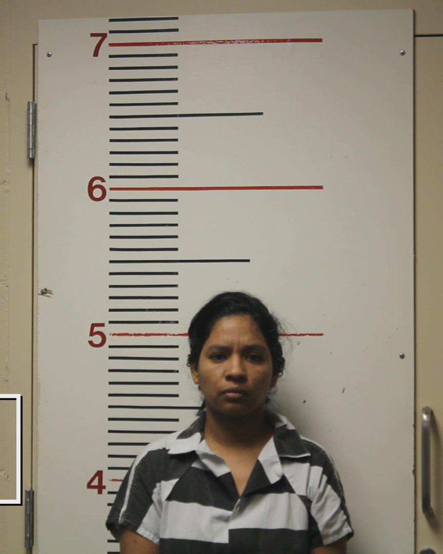 GOMEZ-MORILLO, WINDY CAROLINA booking photo