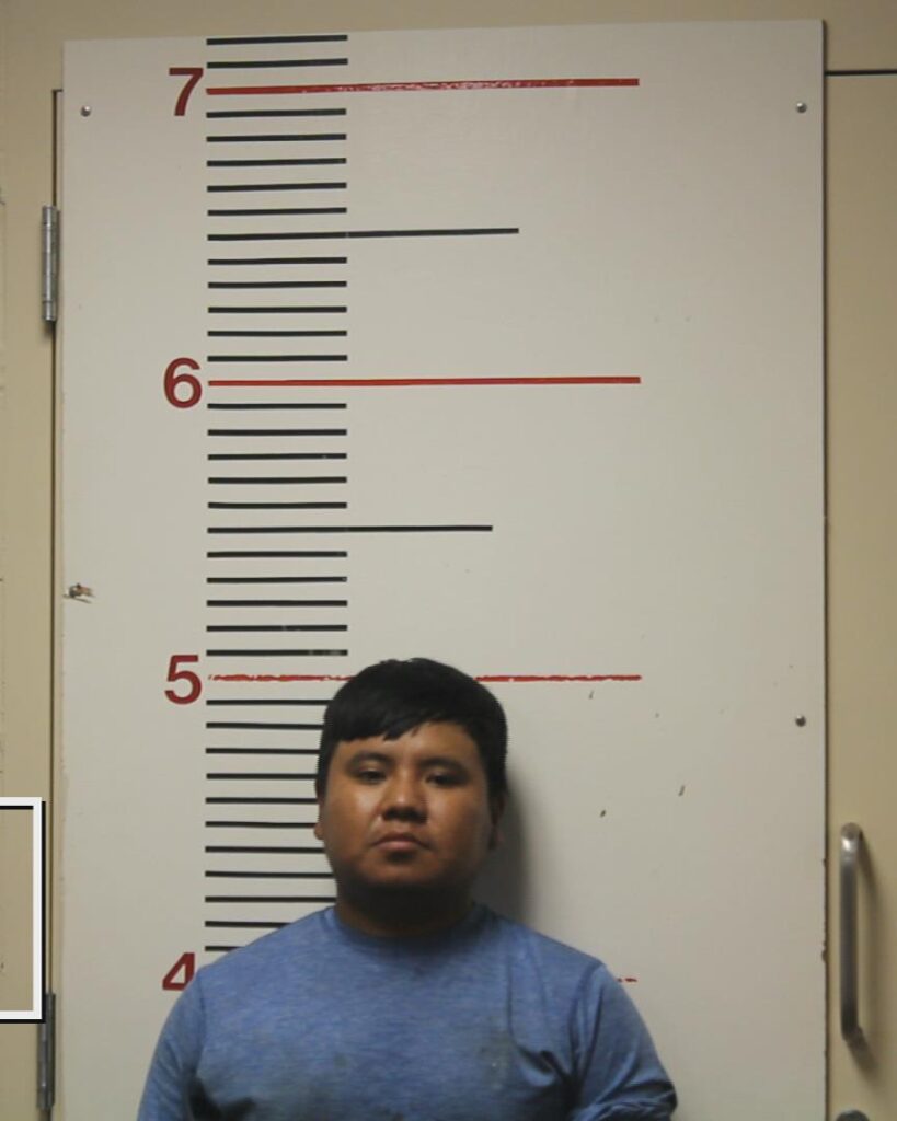 RAMIREZ-SORIA, JOSE GUADALUPE arrested in Anderson County, Texas mugshot