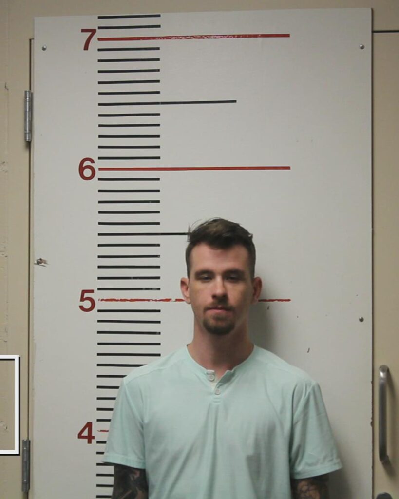 LEE, JOHN MITCHELL arrested in Anderson County, Texas mugshot